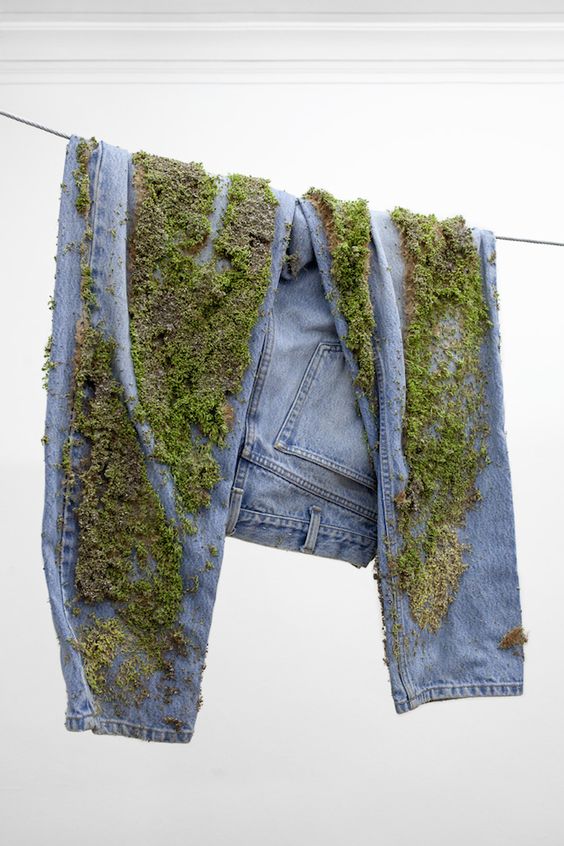 Jeans with moss growing on it